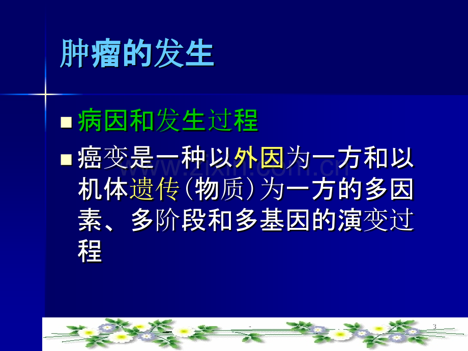 中医药防治恶性肿瘤的新进展PPT课件.ppt_第3页