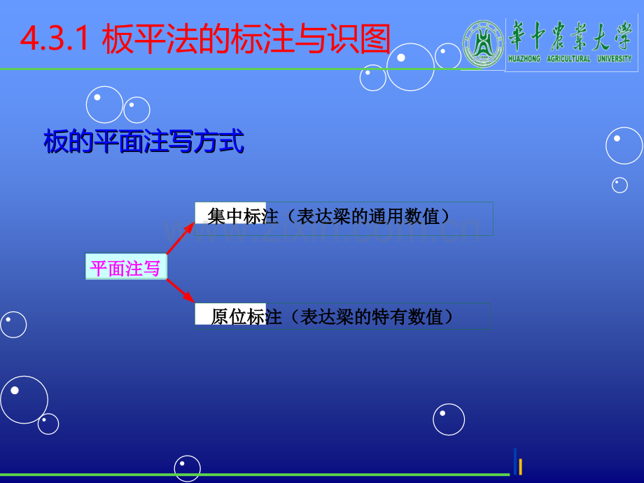 钢筋工程量计算(板).ppt_第3页