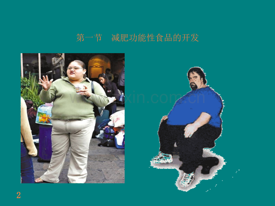 第五章-女性功能性食品的开发ppt课件.ppt_第2页