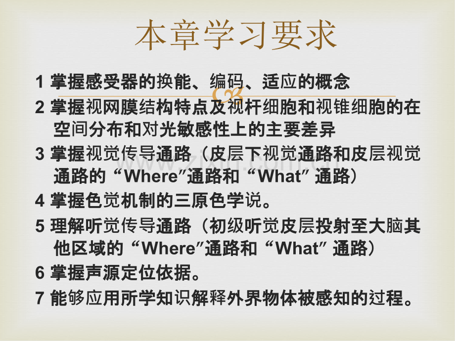 感觉与知觉.ppt_第3页