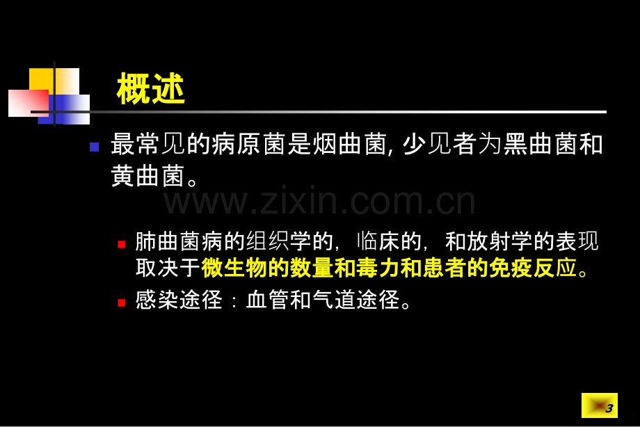 肺曲霉病的分型与影像诊断PPT课件.ppt_第3页