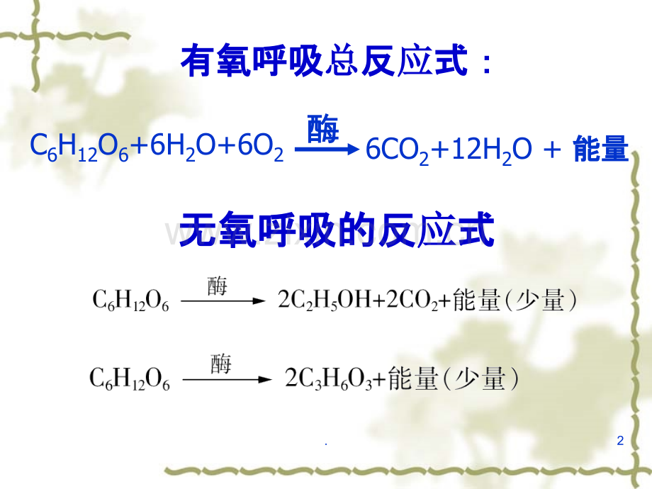 细胞呼吸--一轮复习PPT课件.ppt_第2页