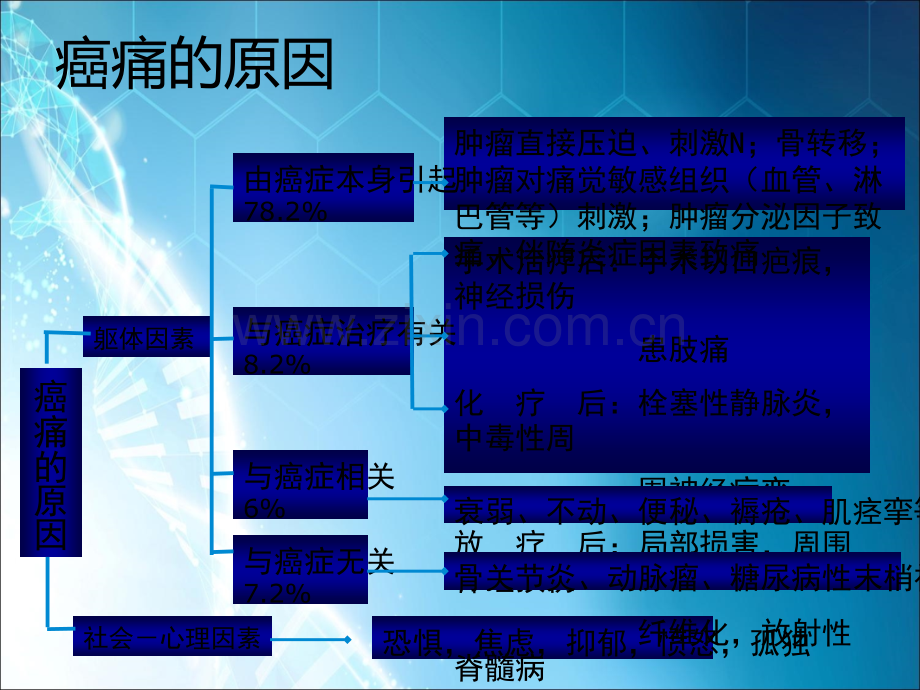 癌性疼痛的三阶梯止痛原则0ppt课件.ppt_第3页