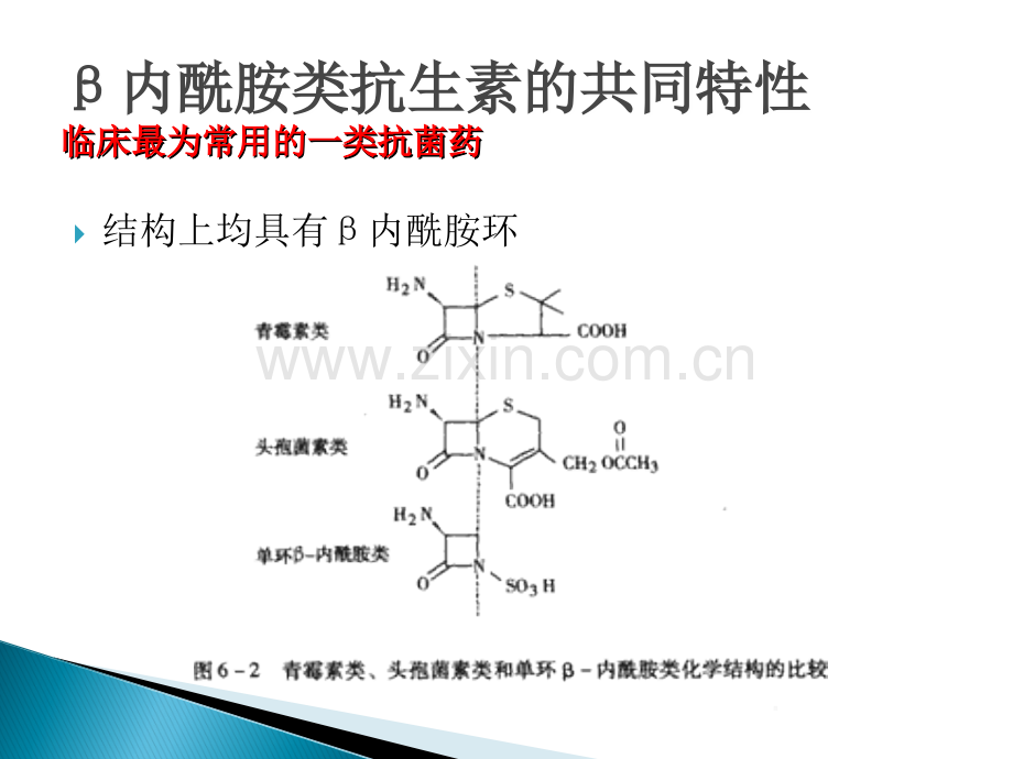 B内酰胺类抗生素的合理使用.ppt_第3页