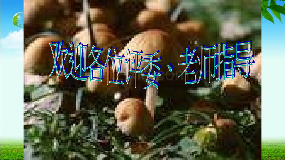 真菌和病毒.ppt_第1页