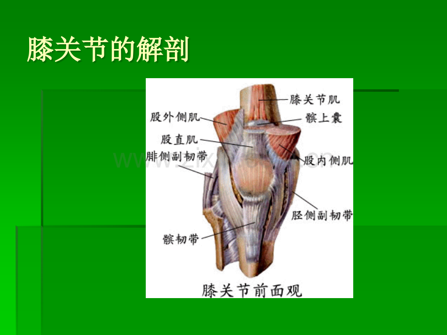 膝关节退行性关节病的康复治疗.ppt_第2页