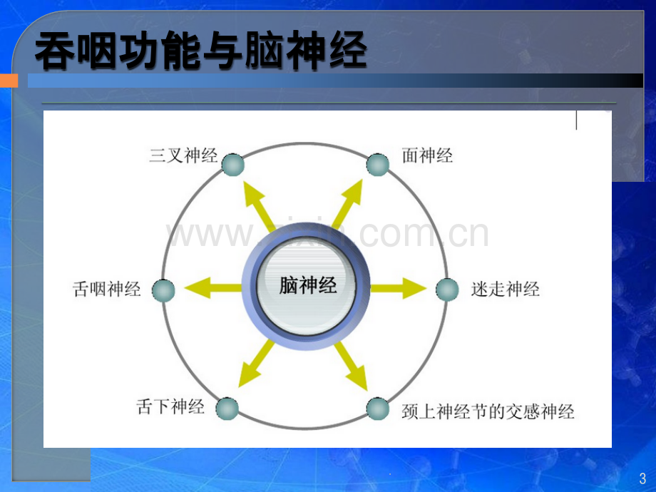 吞咽障碍凝胶临床应用-神经内科.pptx_第3页