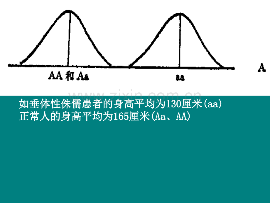 多基因遗传ppt课件.ppt_第2页