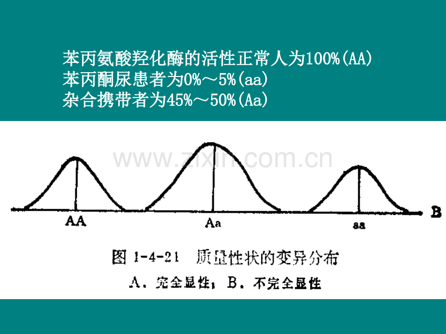 多基因遗传ppt课件.ppt_第3页