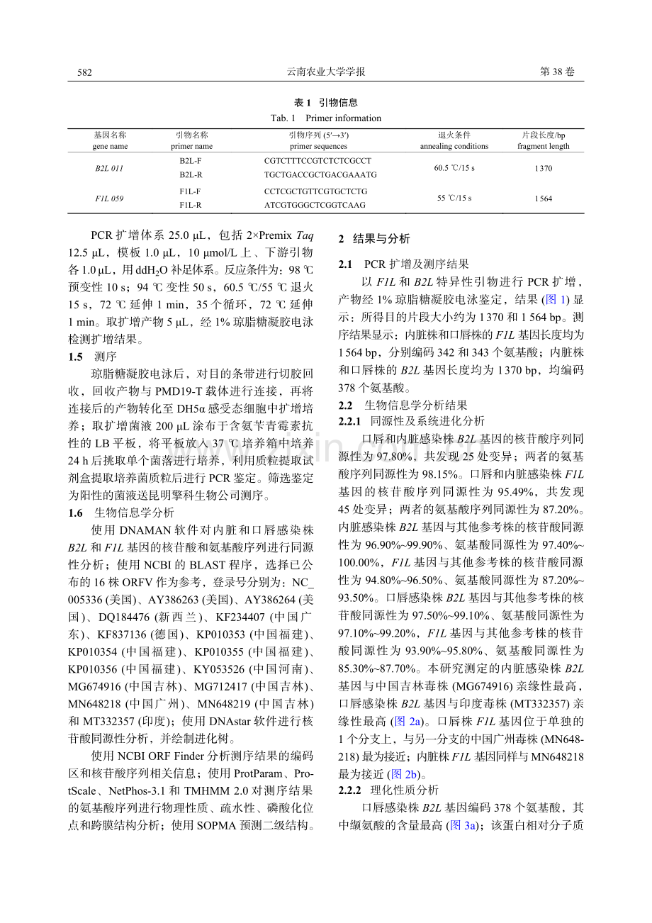 羊口疮病毒内脏和口唇感染株B2L和F1L基因的比较分析.pdf_第3页