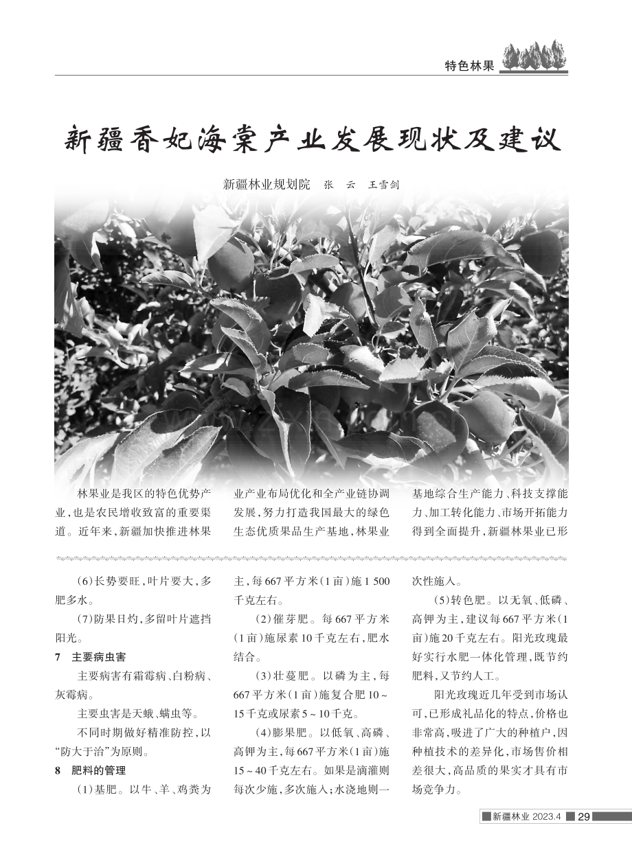 阳光玫瑰葡萄管理栽培技术.pdf_第2页