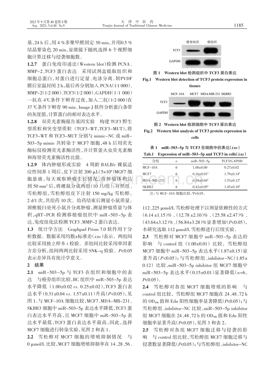 雪松醇调节miR-503-5p_TCF3轴对乳腺癌细胞增殖、迁移和侵袭的影响.pdf_第3页