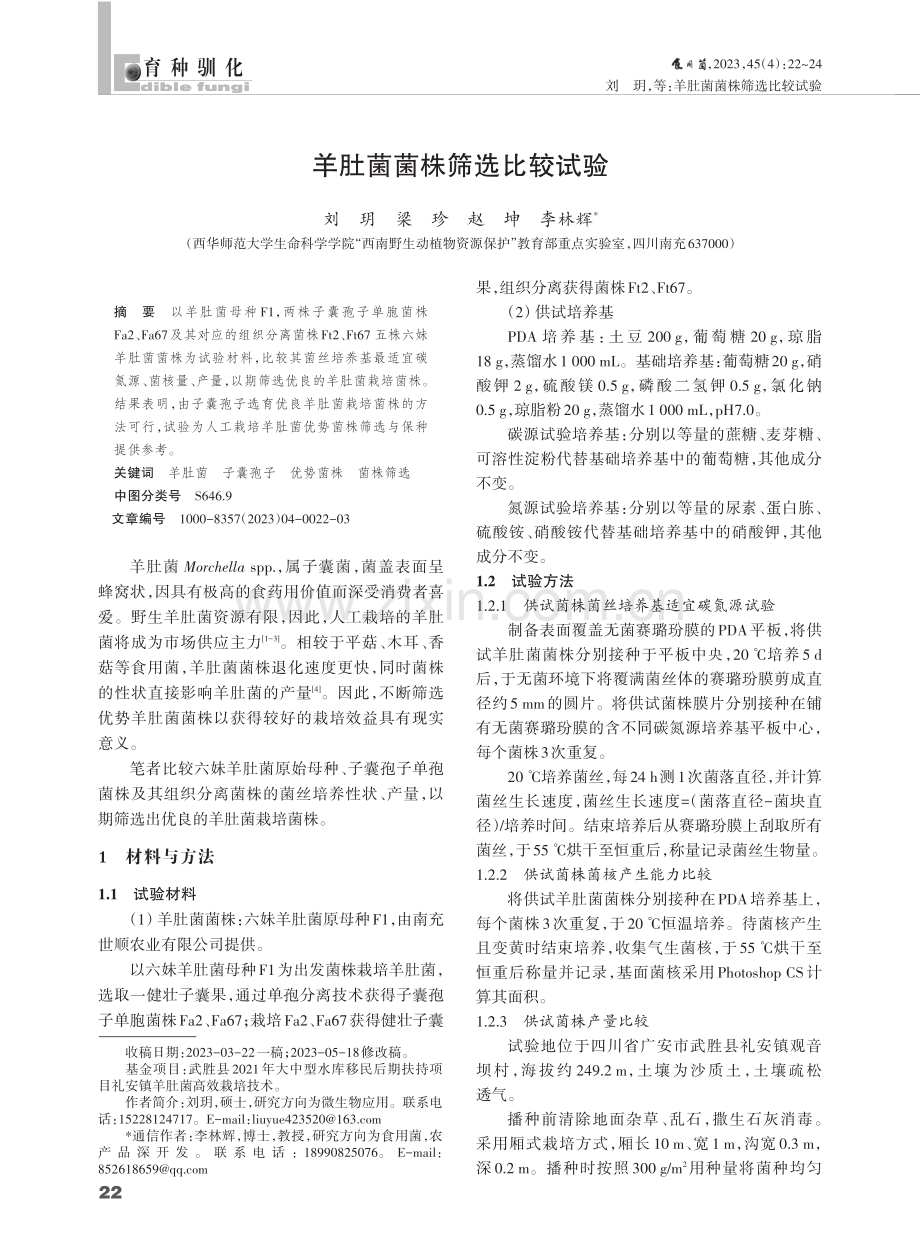 羊肚菌菌株筛选比较试验.pdf_第1页