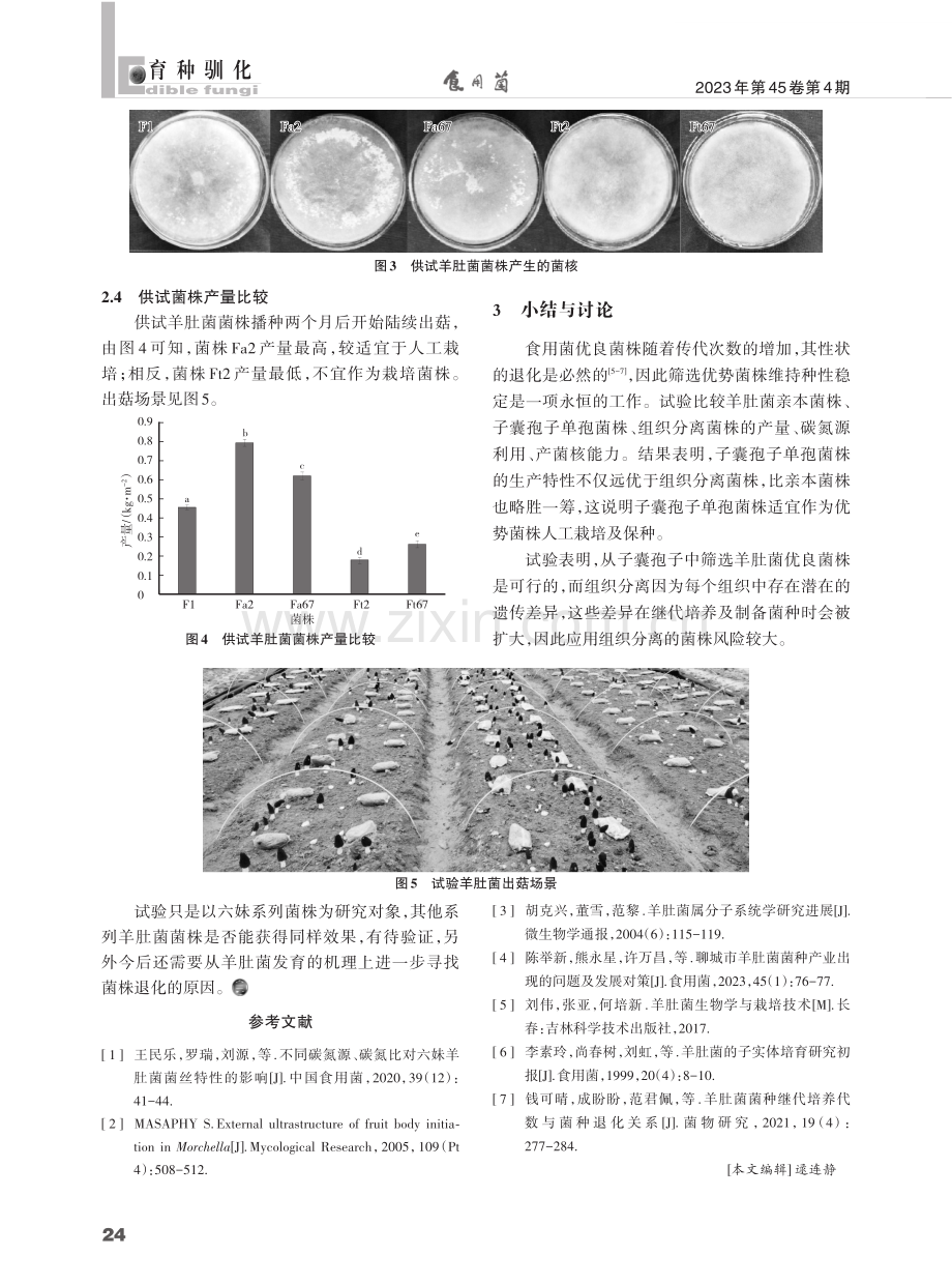 羊肚菌菌株筛选比较试验.pdf_第3页