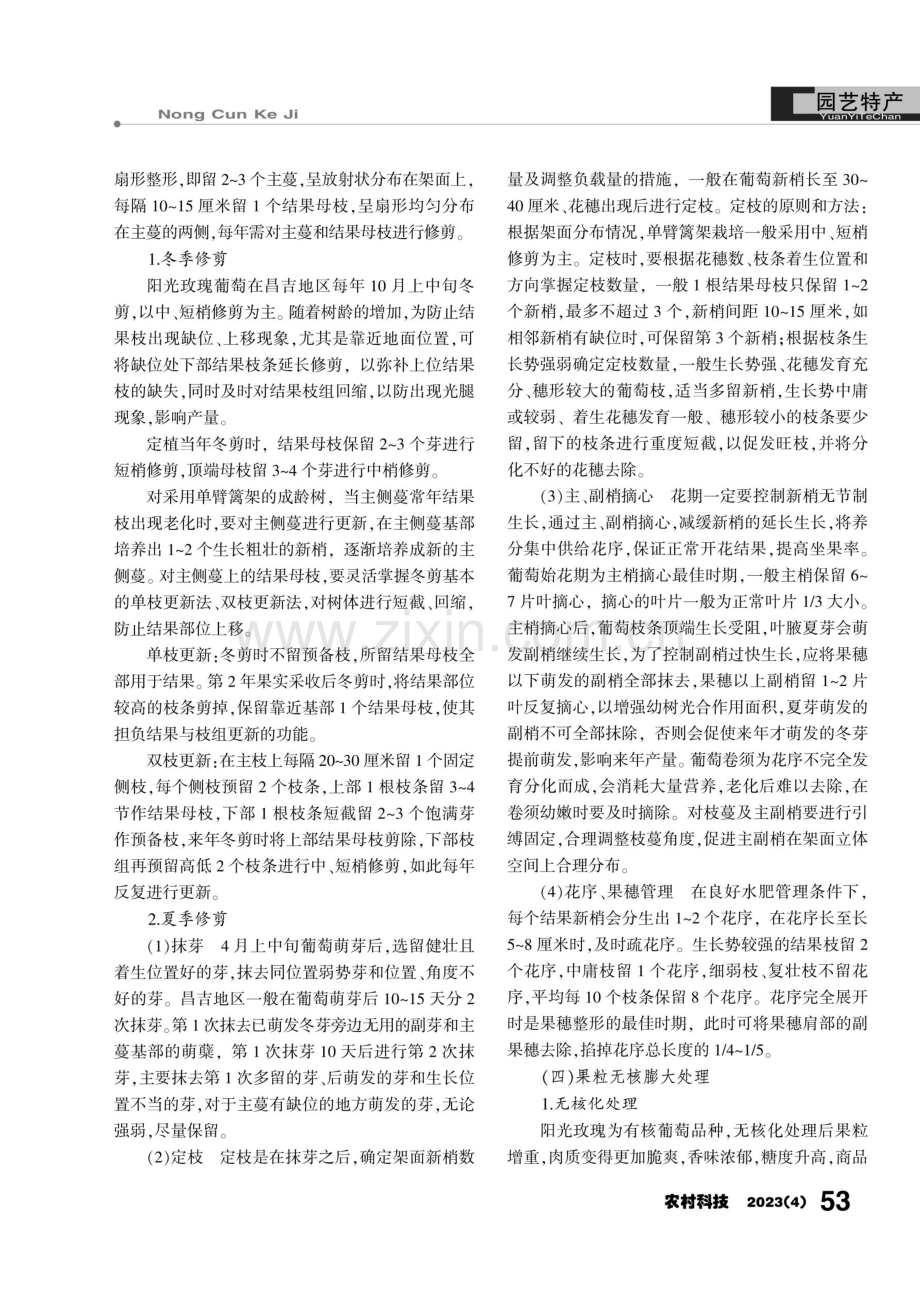 阳光玫瑰葡萄无核化栽培技术.pdf_第3页