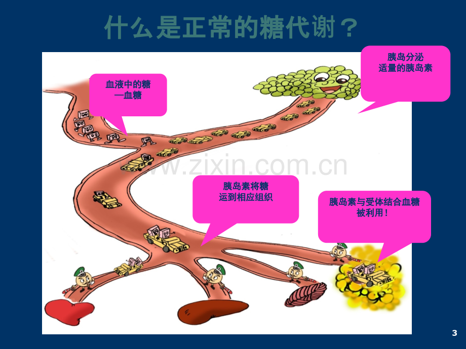 认识糖尿病(新版)ppt课件.pptx_第3页