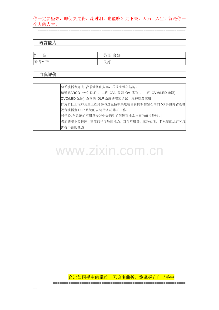 DPL责任工程师-个人简历模板.docx_第3页