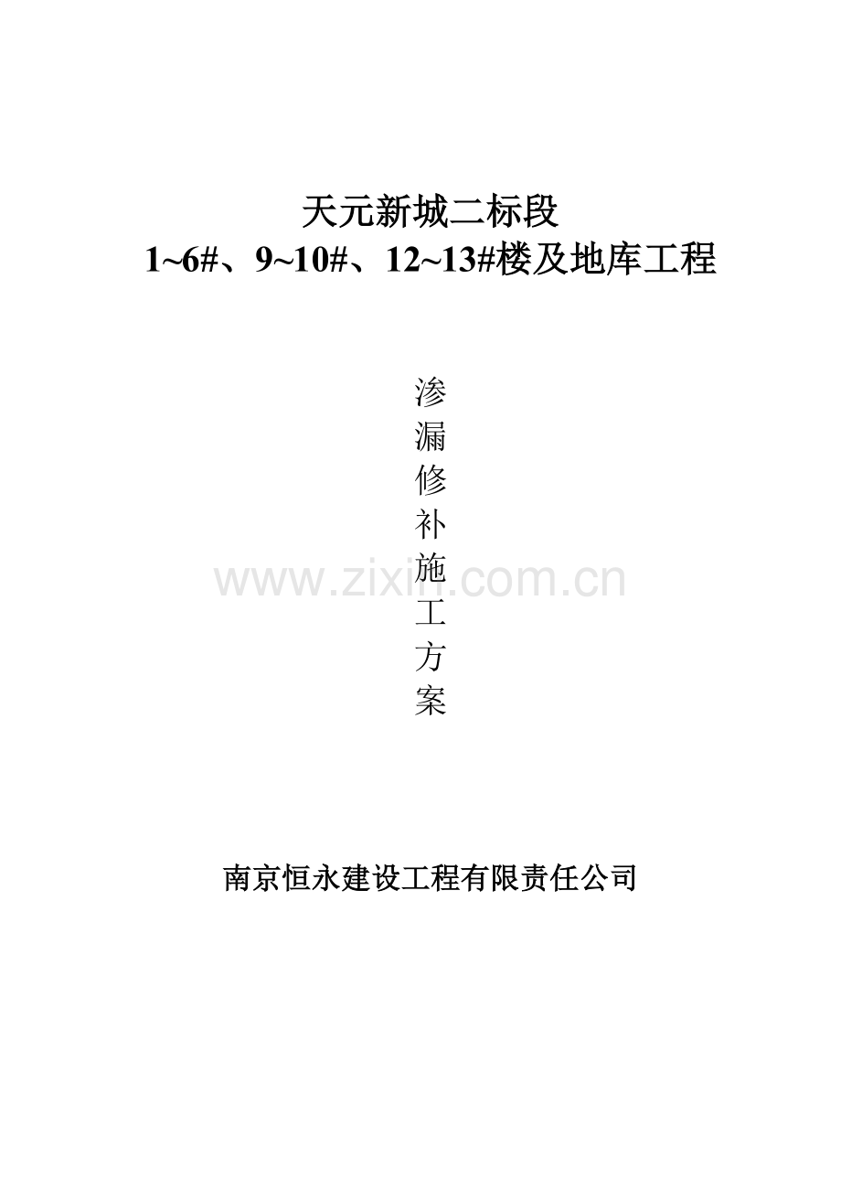 渗漏修补施工方案..doc_第1页