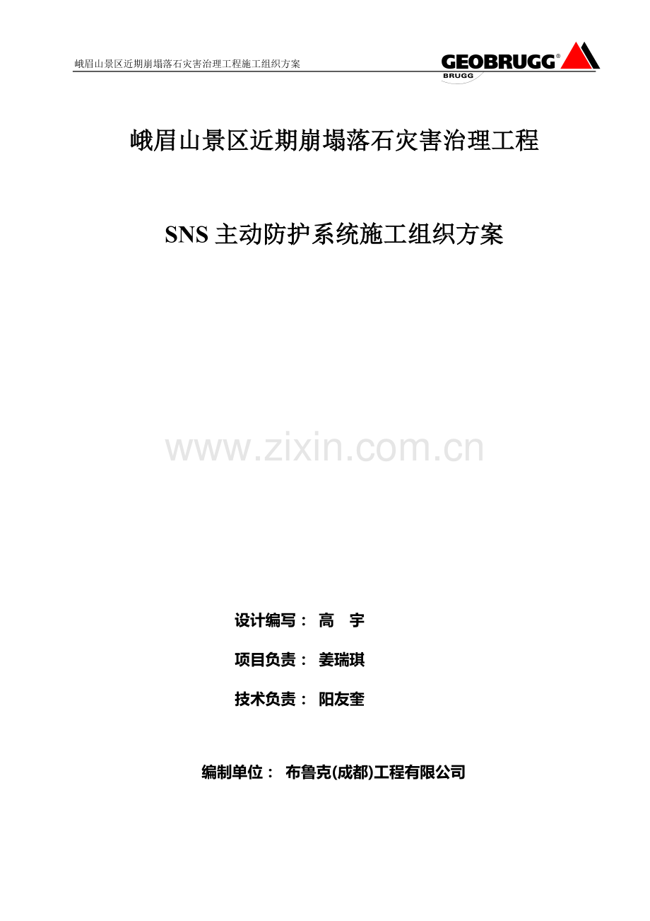 峨眉山SNS主动系统施工方案.docx_第2页