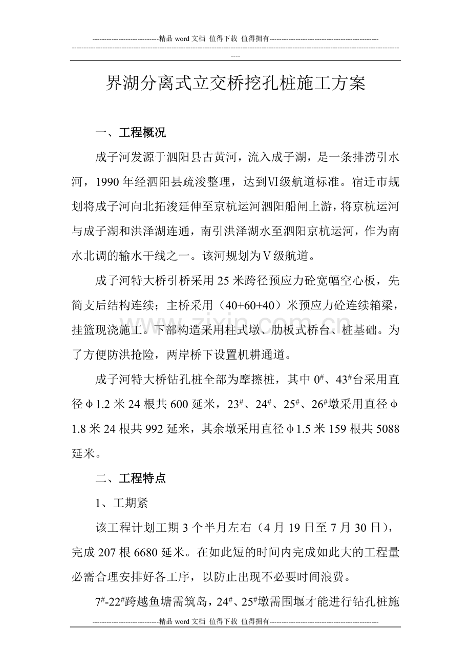 界湖分离式立交桥挖孔桩施工方案.doc_第1页