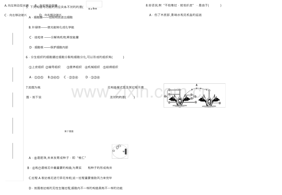 2023年初中生物学业水平测试模拟试题附参考答案.docx_第2页