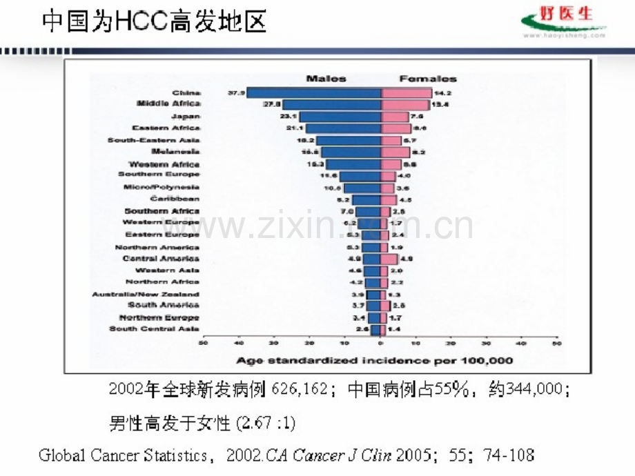 原发性肝癌介入治疗指南.pptx_第3页