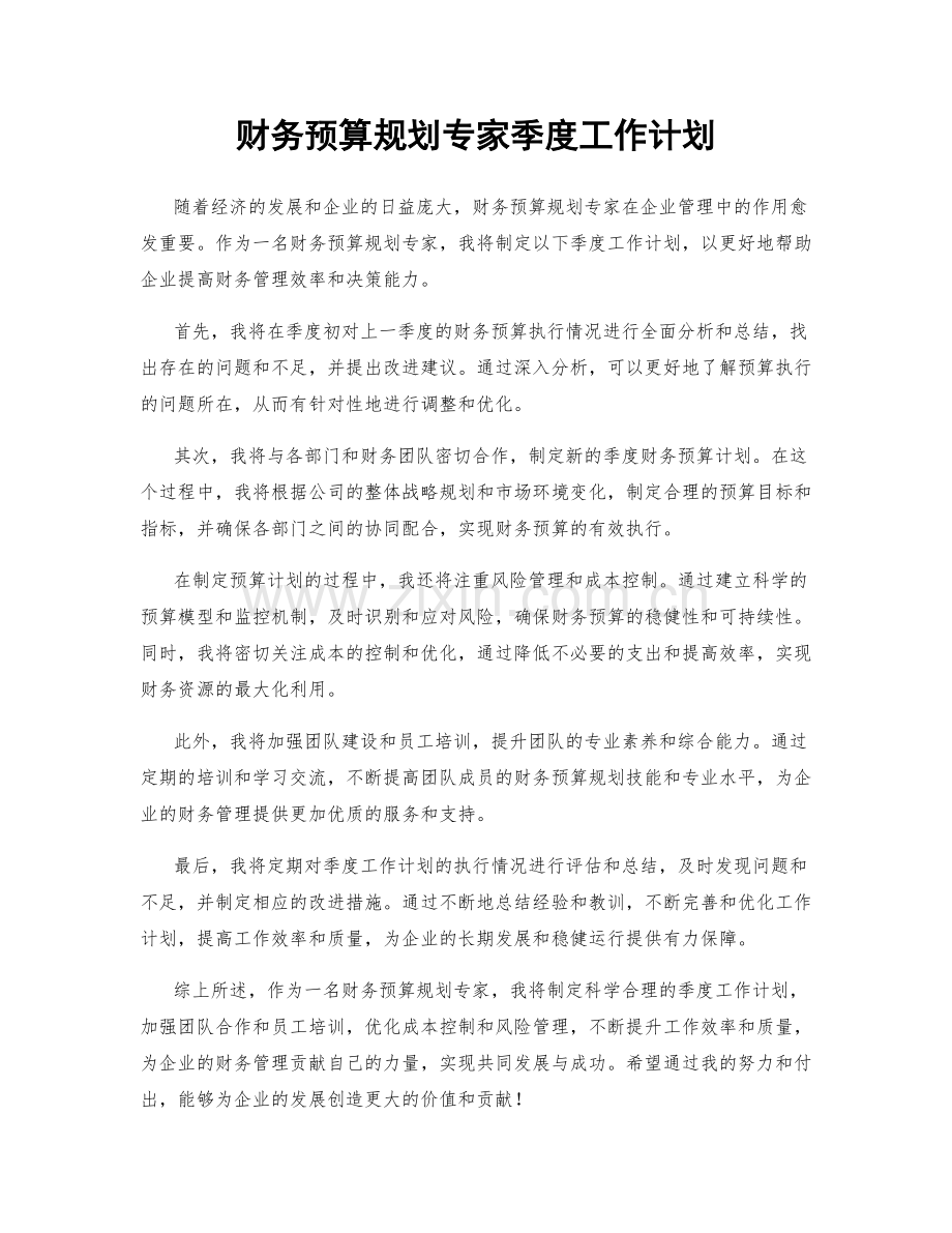 财务预算规划专家季度工作计划.docx_第1页