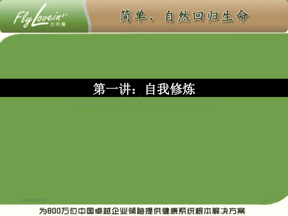 销售团队建设与管理修改.pptx_第3页