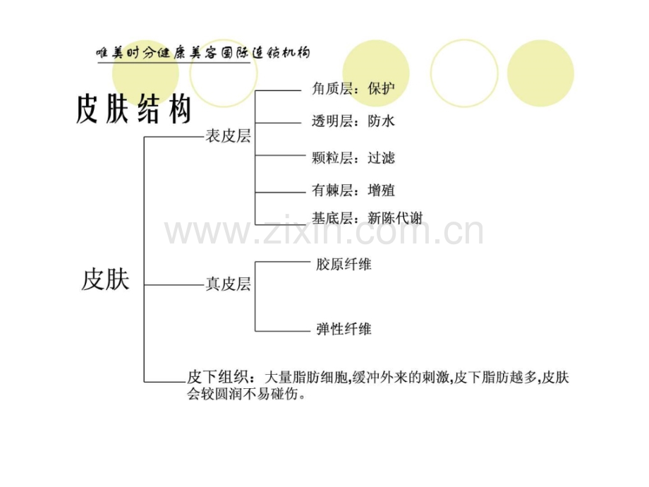 皮肤护理基础知识培训.pptx_第3页