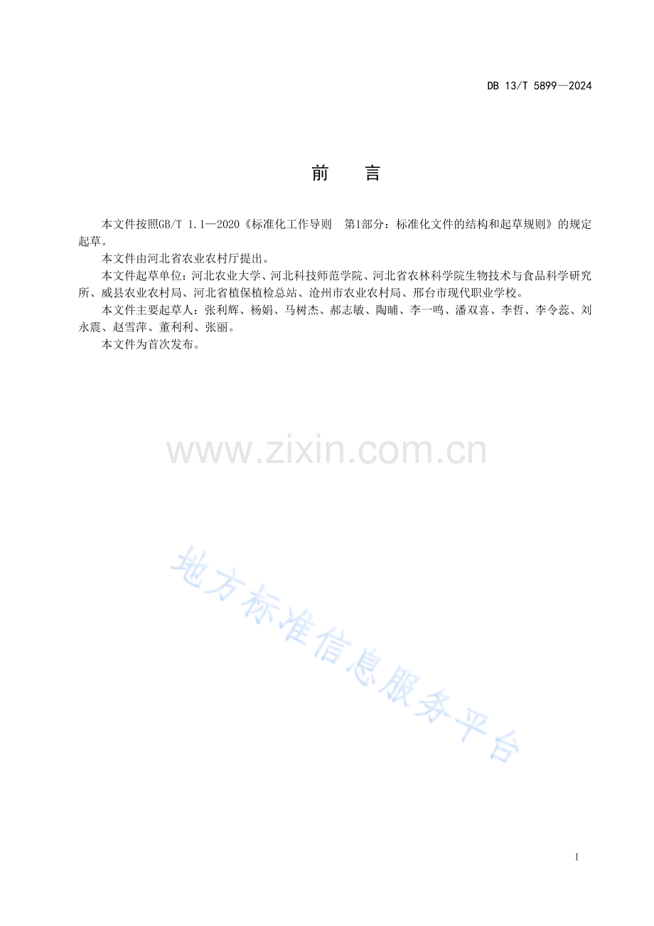 DB13_T 5899-2024玉米顶腐病防治技术规程.pdf_第3页