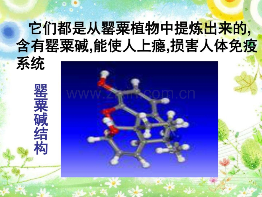 健康人生绿色无毒图文5.pptx_第3页