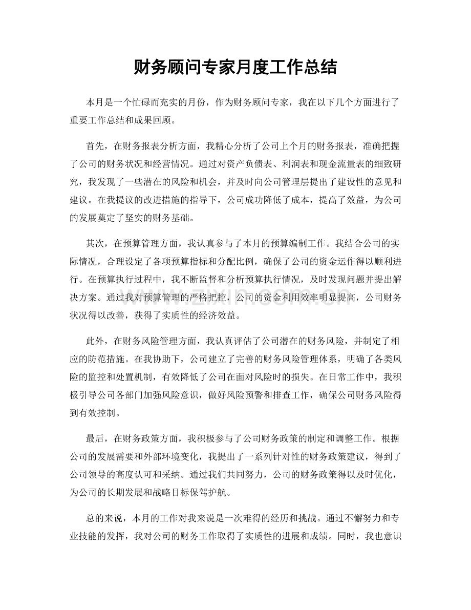 财务顾问专家月度工作总结.docx_第1页