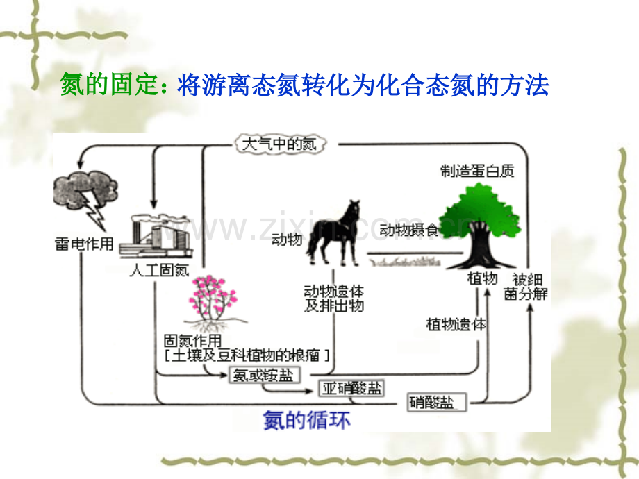 人工固氮.pptx_第3页