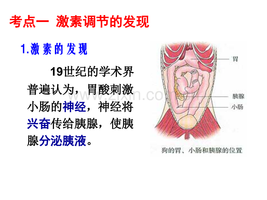 通过激素的调节神经调节和体液调节的关系.pptx_第1页