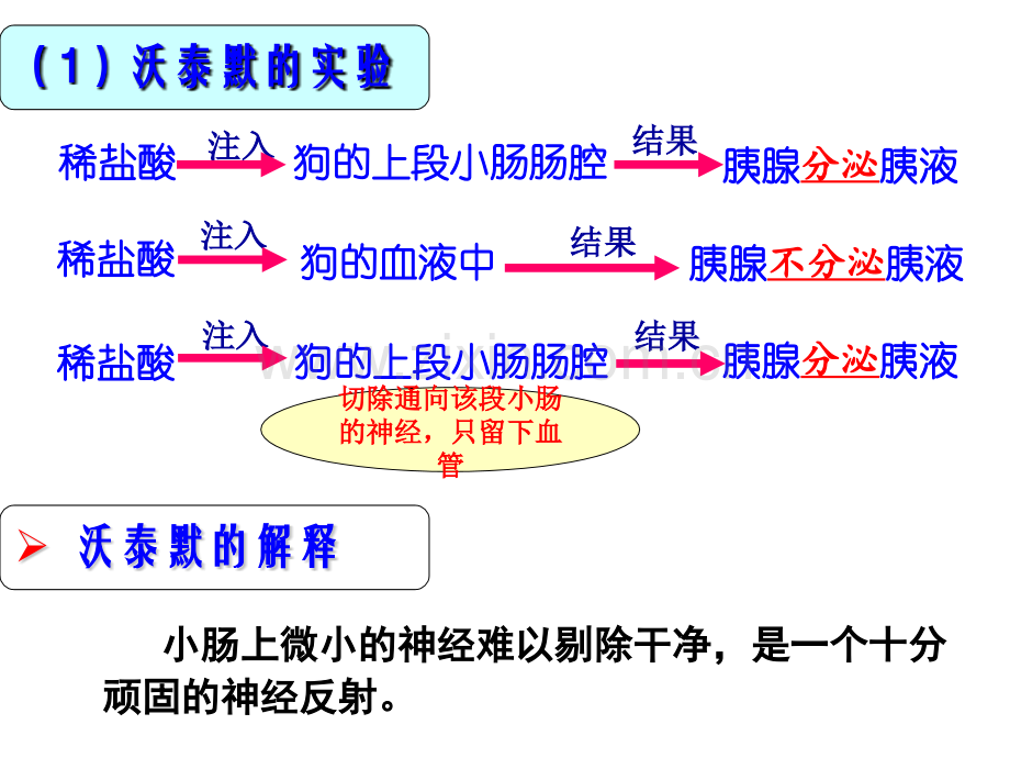 通过激素的调节神经调节和体液调节的关系.pptx_第2页