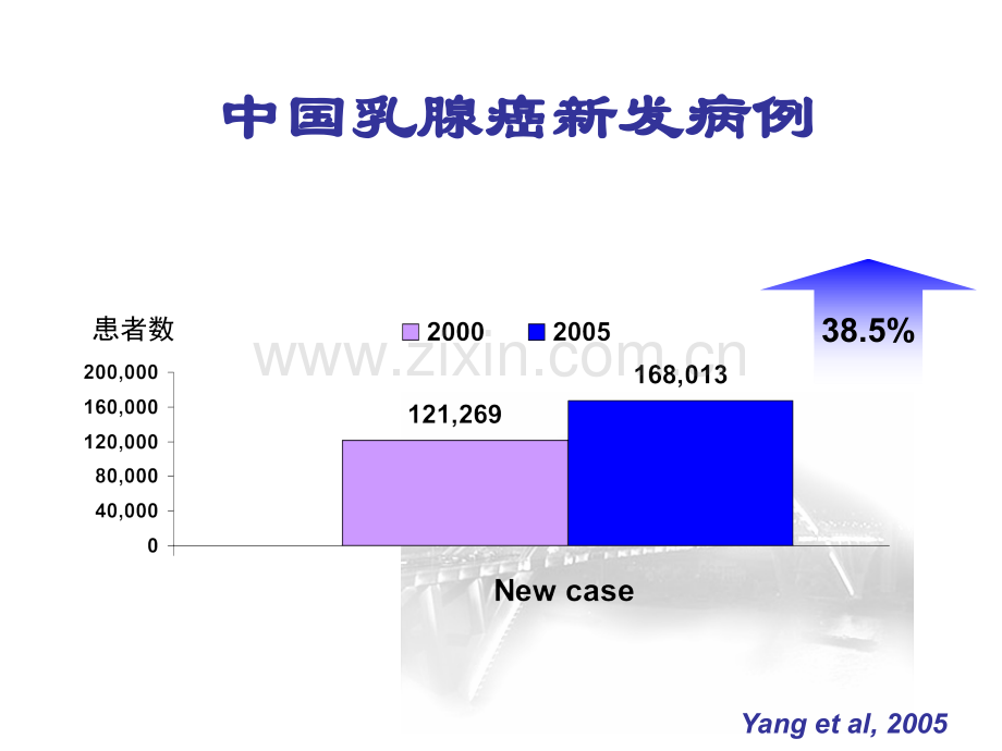 中国抗癌协会乳腺癌诊治指南与规范上.pptx_第2页