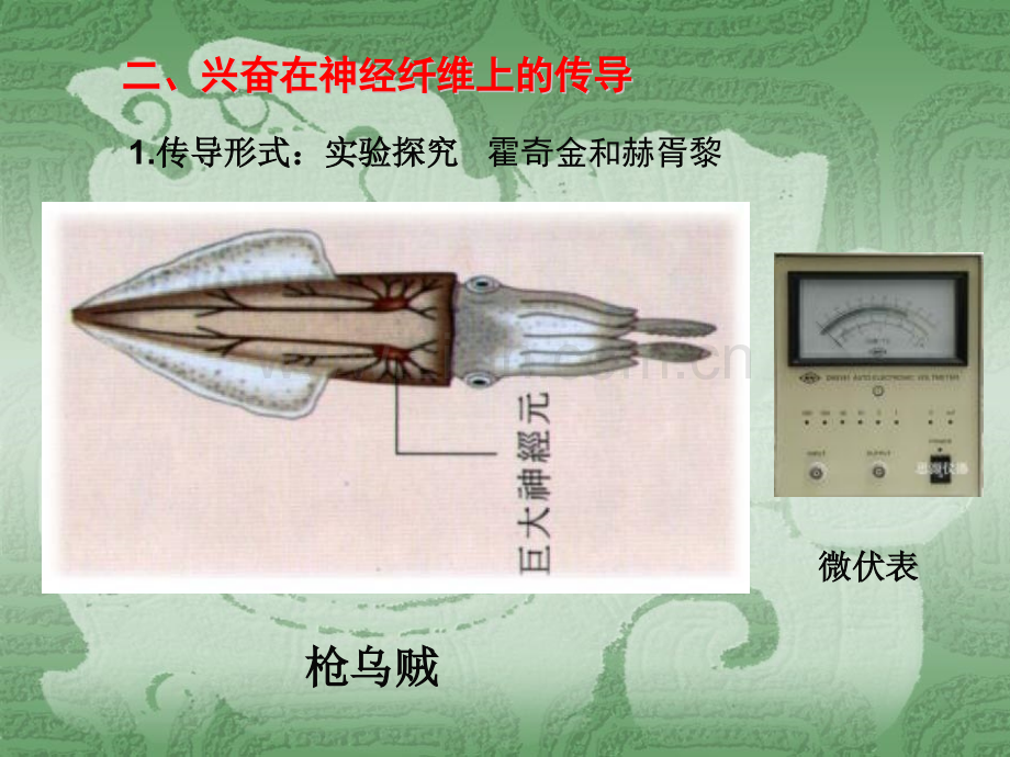 人体神经调节结构基础和调节过程高中生物苏教版必修3稳定与环境1231.pptx_第3页