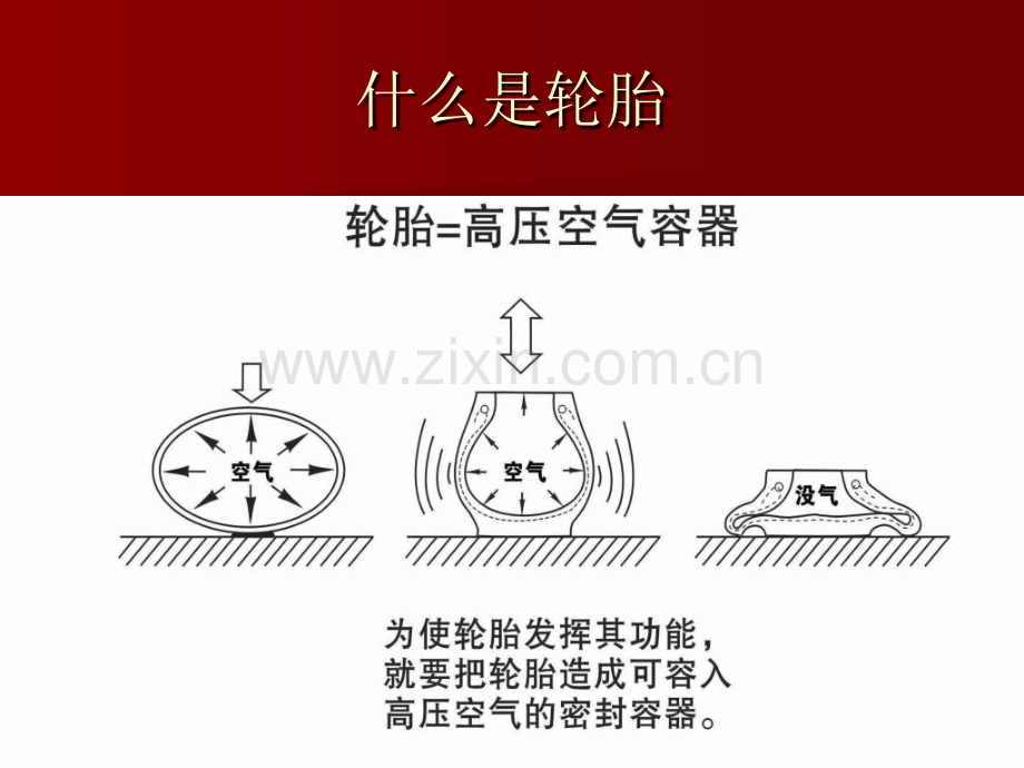 轮胎的基本知识.pptx_第1页