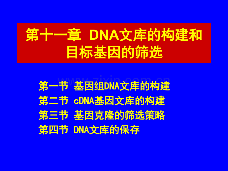 DNA文库的构建和目标基因的筛选.pptx_第1页