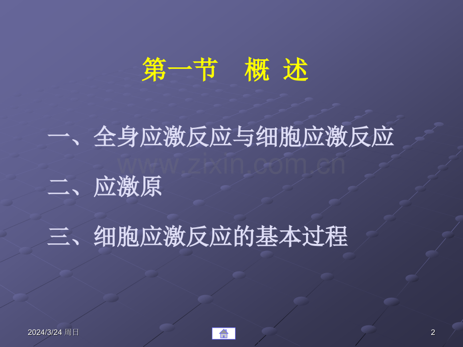 细胞应激反应的.pptx_第2页