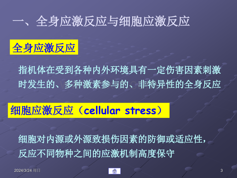 细胞应激反应的.pptx_第3页