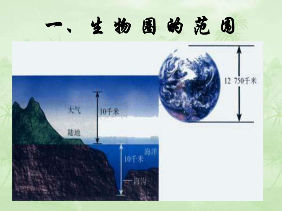 初一生物生物圈是最大生态系统.pptx_第3页