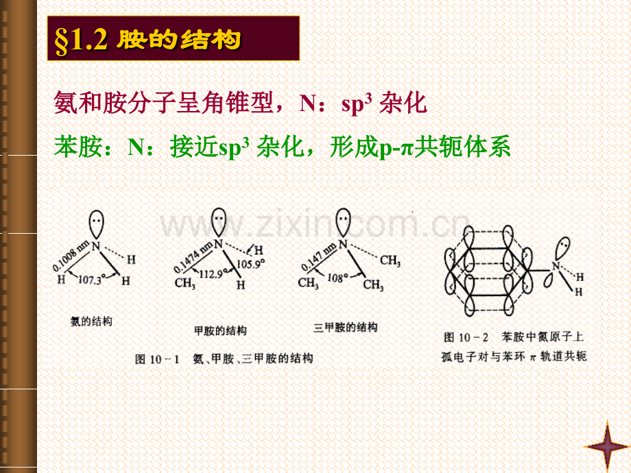 大学有机化学胺与酰胺.pptx_第3页