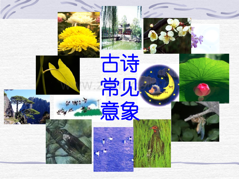 诗歌鉴赏意象.pptx_第3页