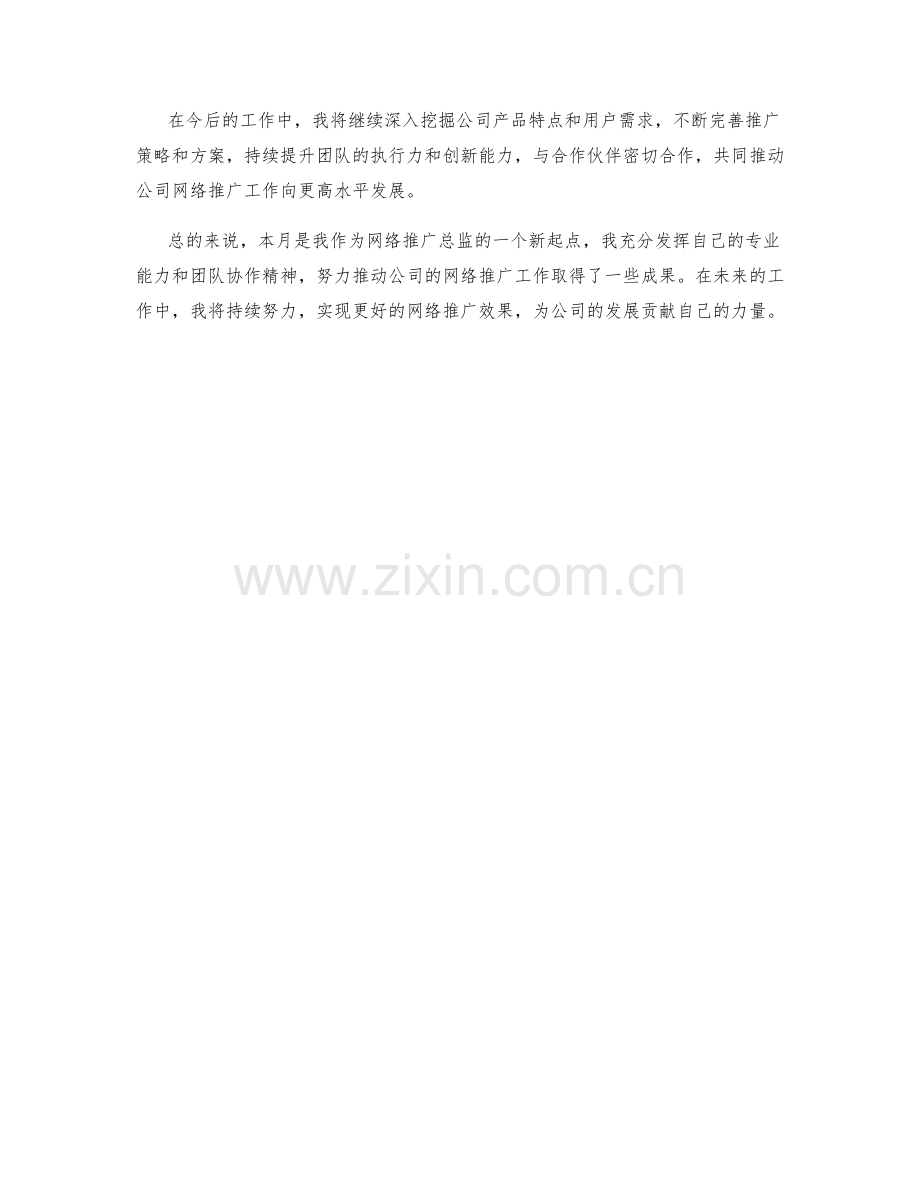 网络推广总监月度工作总结.docx_第2页