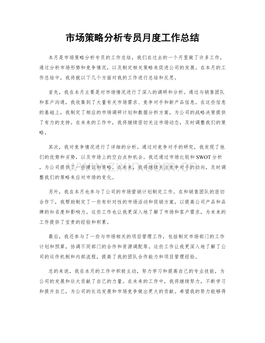 市场策略分析专员月度工作总结.docx_第1页