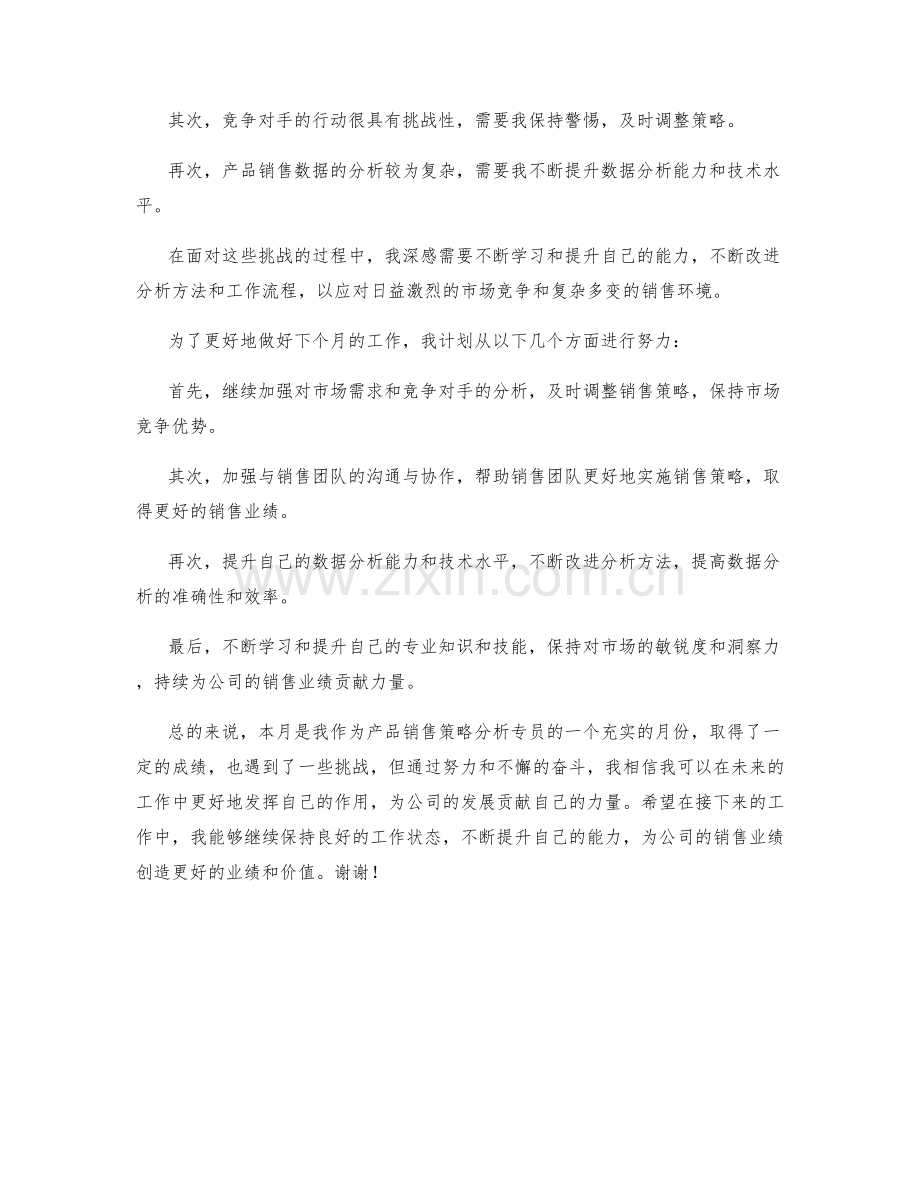 产品销售策略分析专员月度工作总结.docx_第2页