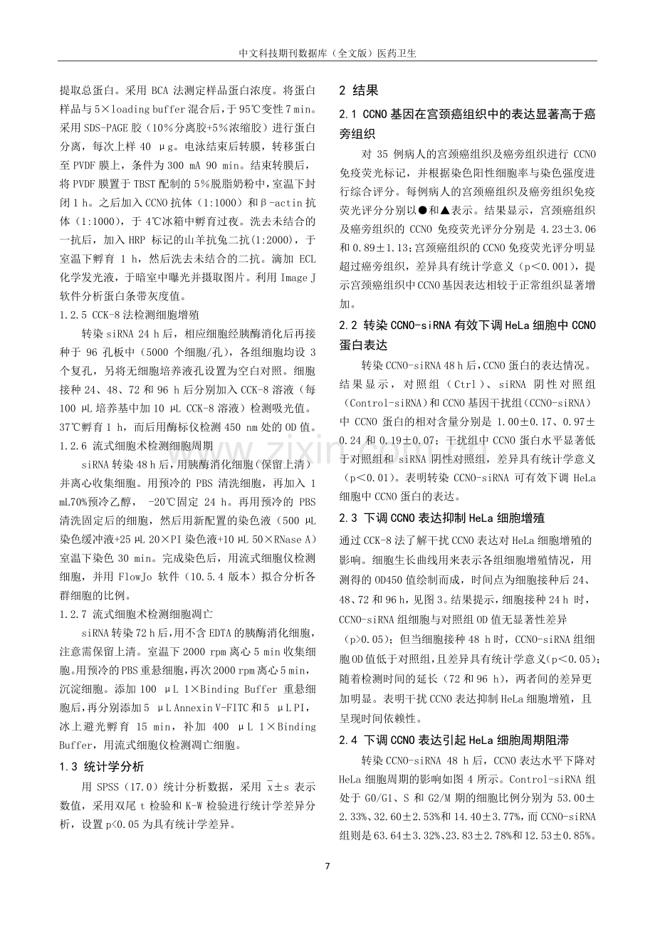 CCNO基因在宫颈癌中的表达及其对宫颈腺癌Hela细胞增殖、凋亡的影响.pdf_第3页