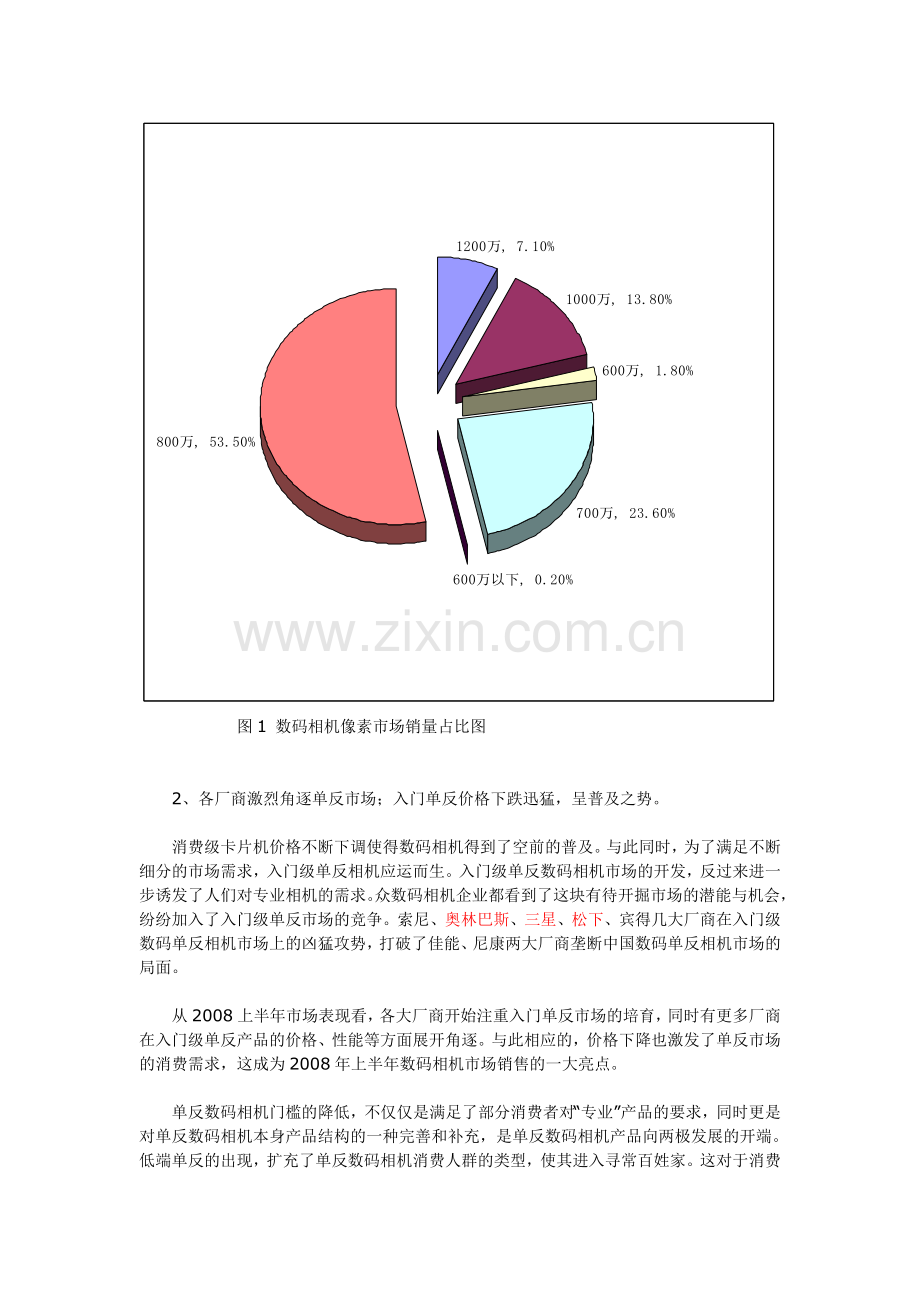 2008上半年中国数码相机市场结构调查分析.doc_第2页