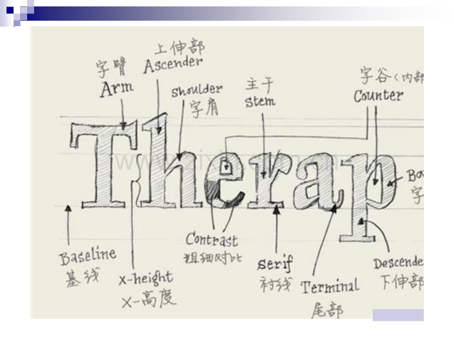 字体设计基础.pptx_第1页